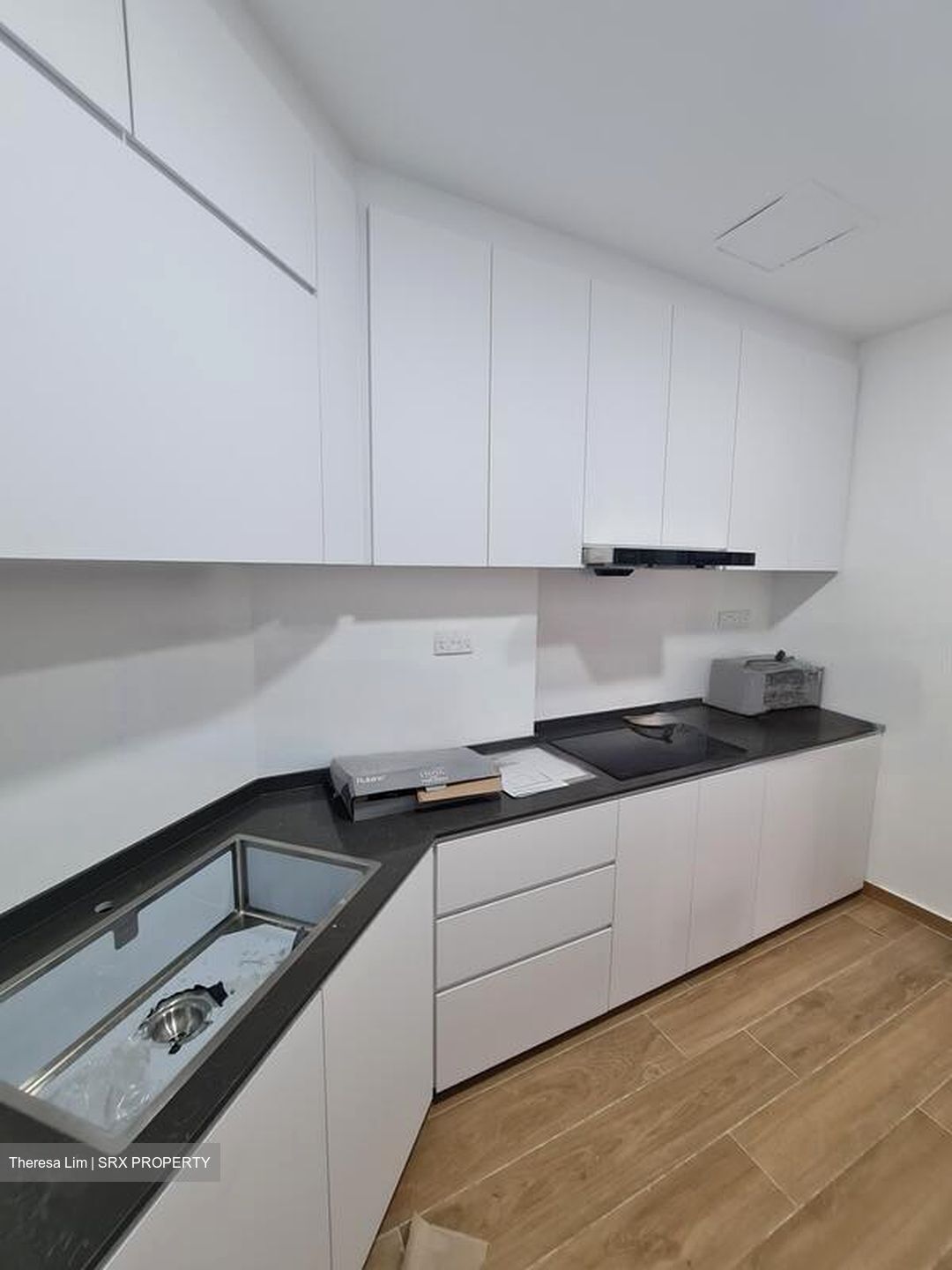 Dover Parkview (D5), Condominium #592993411
